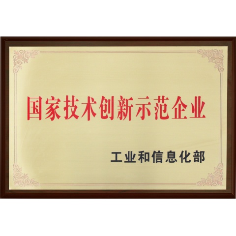 國家技術(shù)創(chuàng)新示范企業(yè)